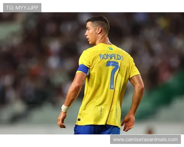 C罗再次登顶足坛影响力排名，巩固其全球足球巨星地位趋势分析