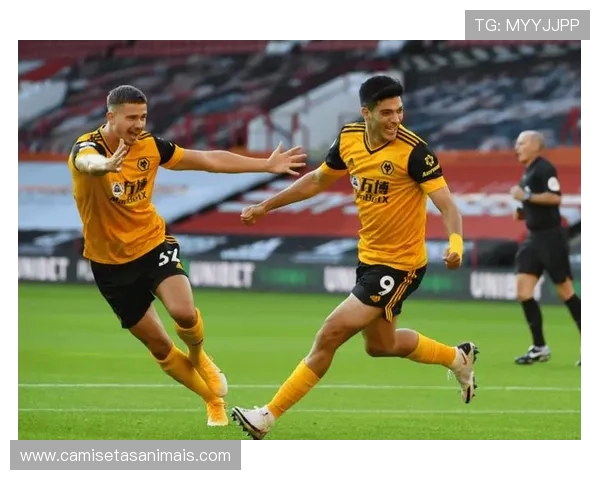 纽卡斯尔联本赛季表现稳健，沙特资本入主后竞争力持续提升