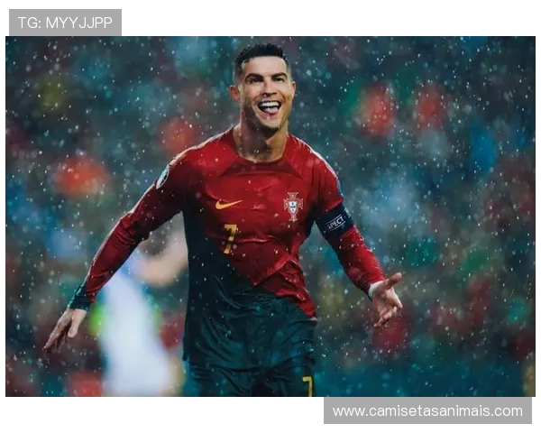 C罗职业态度样本