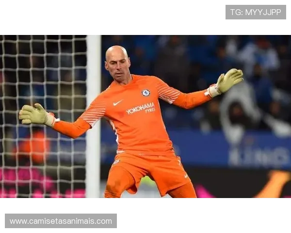 库尔图瓦最新伤病动态