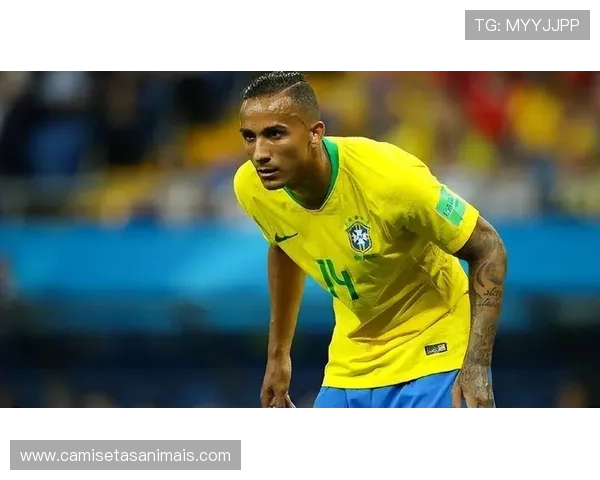 达尼洛巴西国家队老将