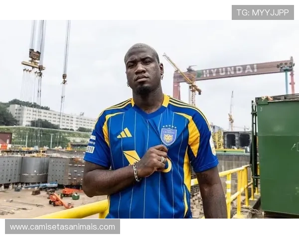 K联赛巴西球员 K联赛巴西球员