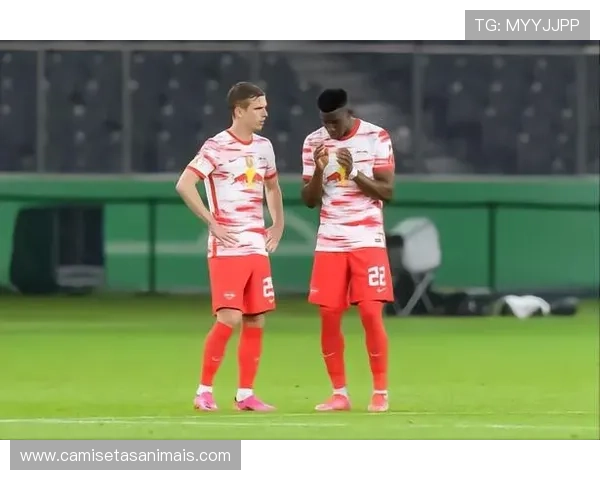 B费 vs 罗德里:中场控场能力与战术作用差异 B费 vs 罗德里:中场控场能力与战术作用差异