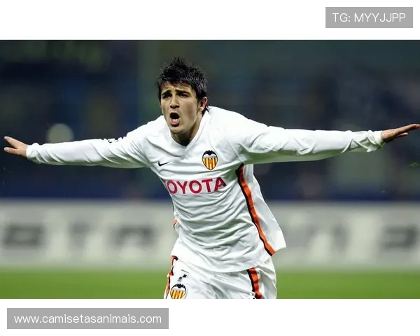 瓦伦西亚传统豪门地位不稳,近年来竞争力逐步下降 瓦伦西亚传统豪门地位不稳,近年来竞争力逐步下降