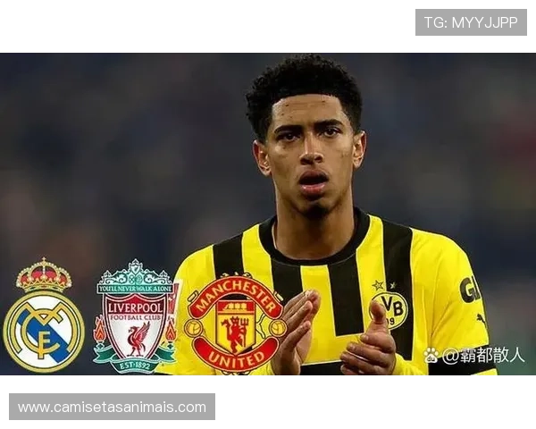 B费与莫德里奇:中场组织与比赛掌控力差距解析