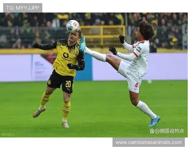 多特关键比赛表现不佳，争冠形势面临考验