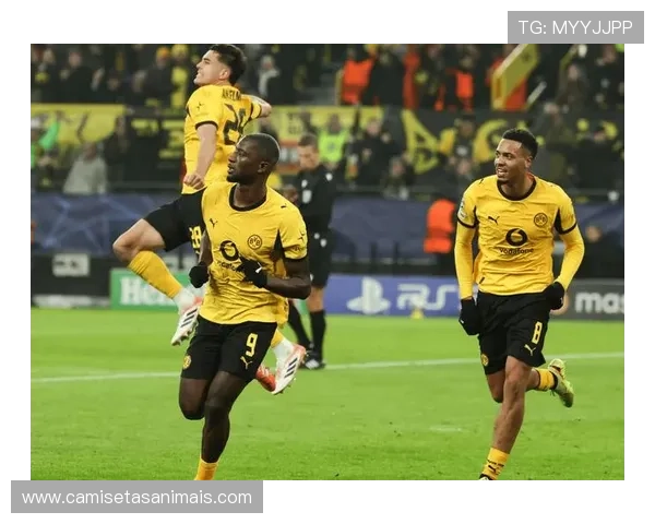 多特蒙德:争冠稳定性不足问题,已对赛季走势形成制约 多特蒙德:争冠稳定性不足问题,已对赛季走势形成制约