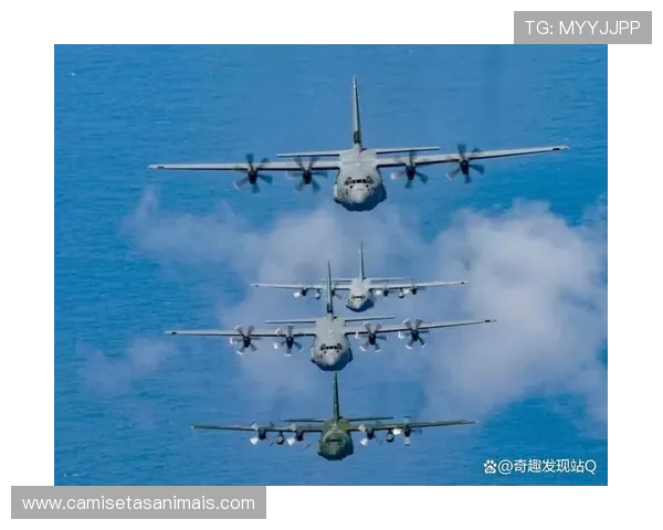 深入解析空中对抗判罚的规则机制与尺度