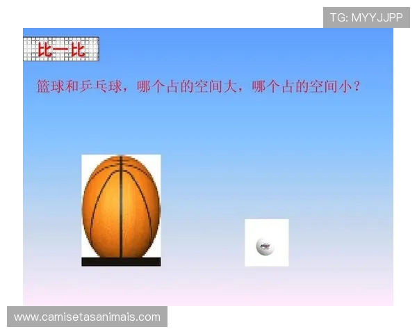 篮球新手必看：详解球出界判定规则的三步法